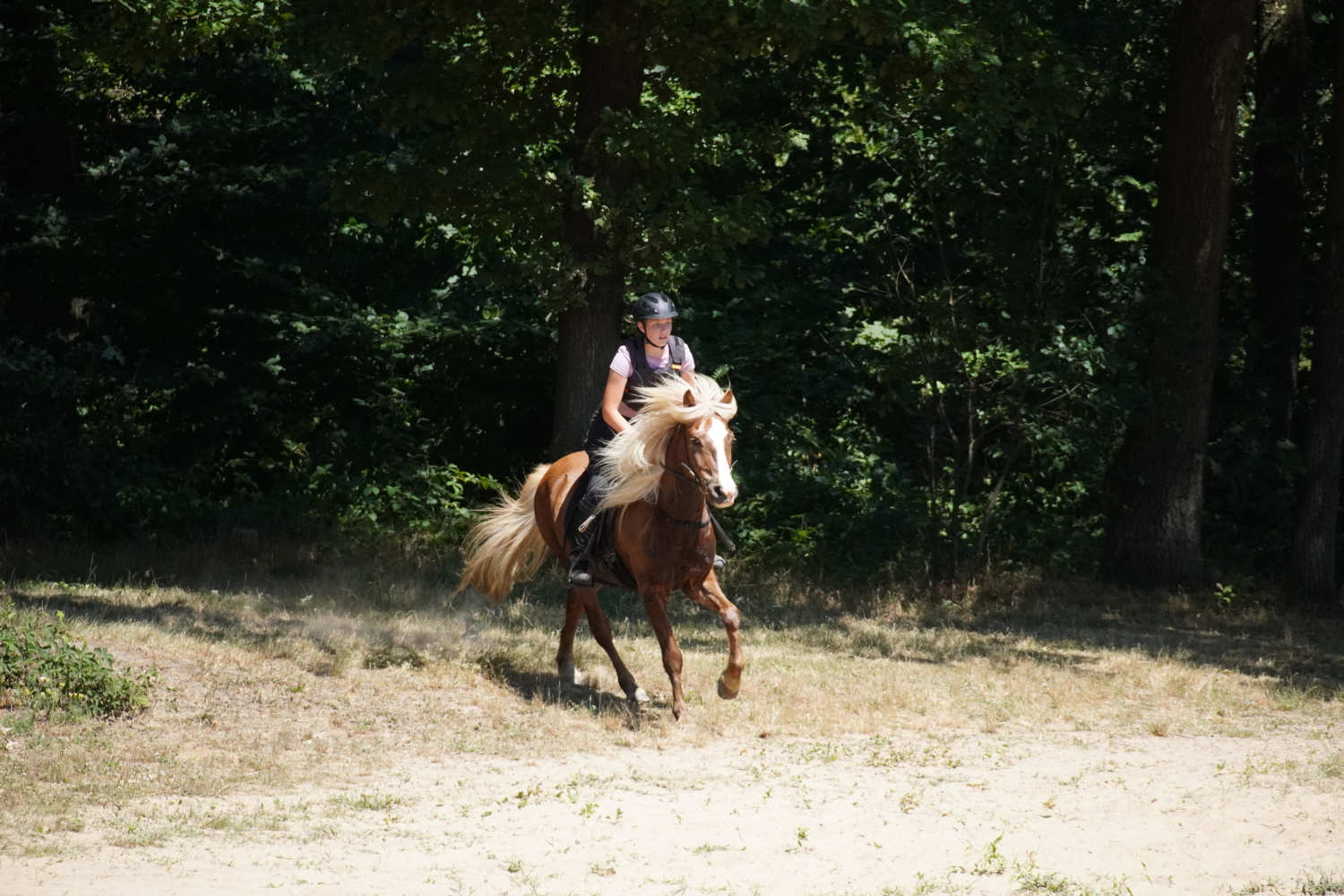 DSC07096